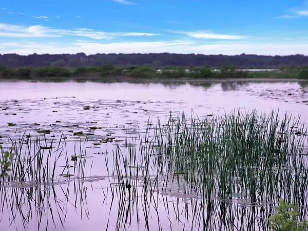 $20,000 | Tbd Meridian Lane, Gordonville, TX 76245