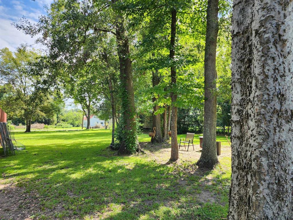 205 South 2nd Street Logansport, LA 71049 - Photo 6 of 36 a view of a trees in a yard