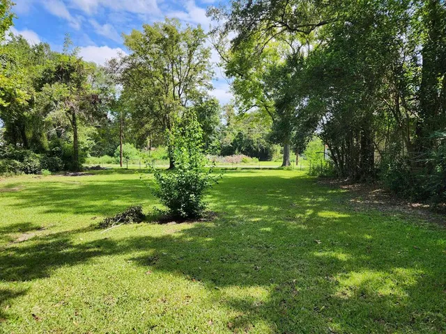 a view of a grassy field with trees