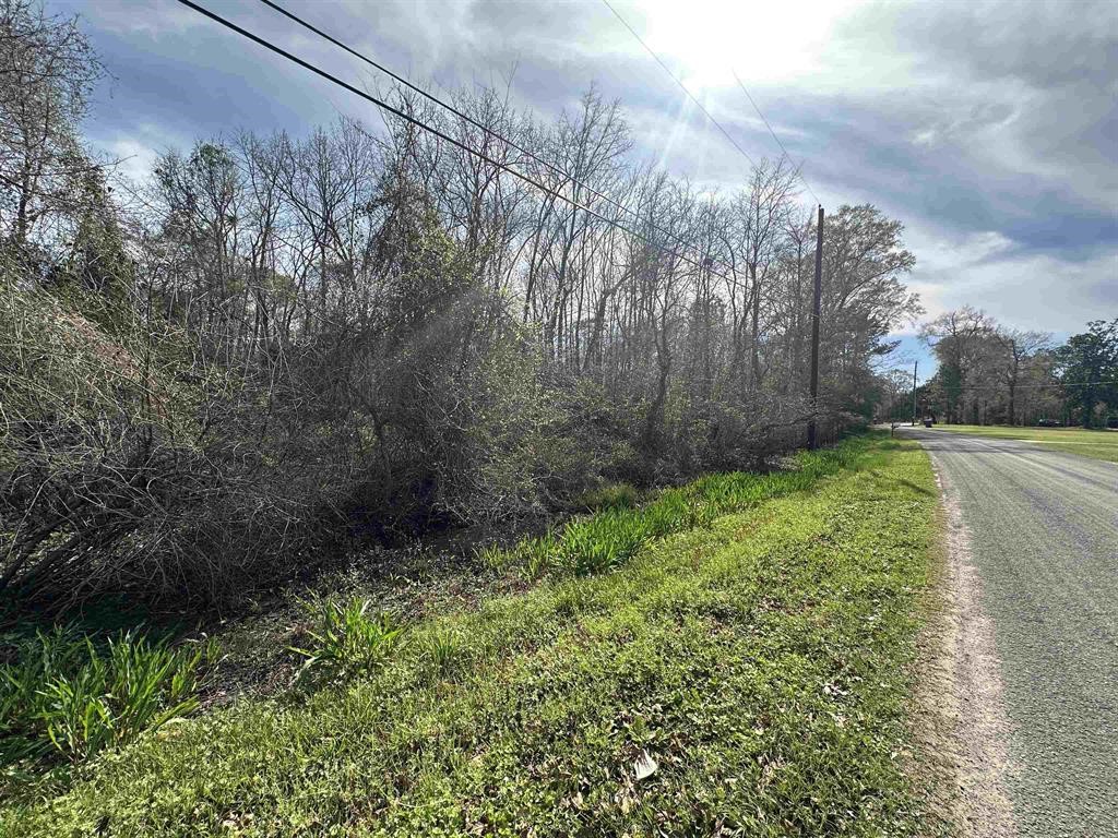 a view of a yard with large trees