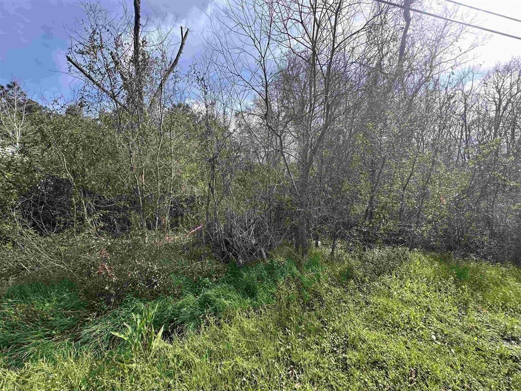 1270 Operators Lane Vidor, TX 77662 - Photo 3 of 9 a view of a garden