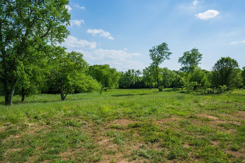 1634 Goshen Road Lebanon, TN 37087 - Photo 22 of 23 There are shade trees throughout the property that joins two Century Farms.