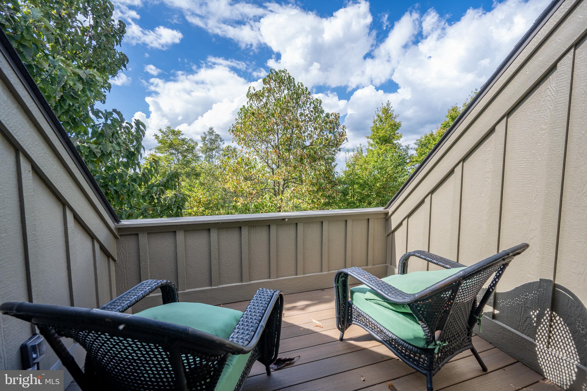 152 Ridge Run Road McHenry, MD 21541 - Photo 70 of 100