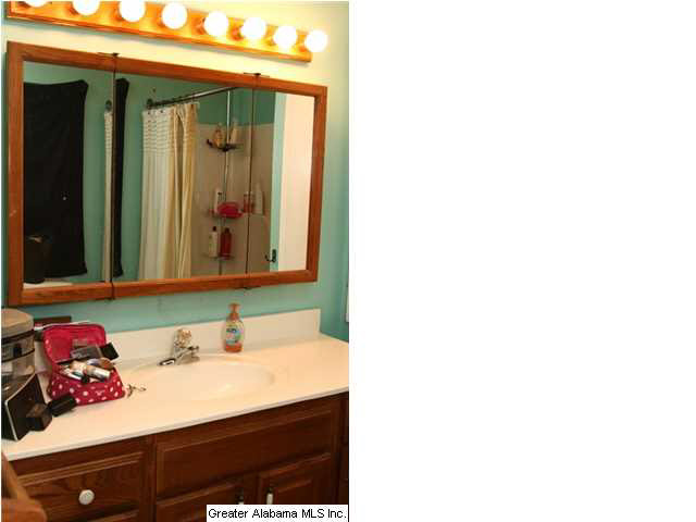 730 Copper Springs Road Odenville, AL 35120 - Photo 7 of 16