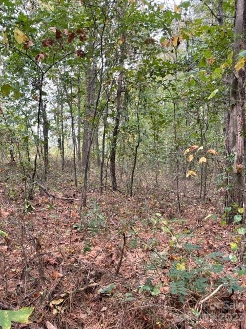 0 Black Road Ellenboro, NC 28040 - Photo 4 of 13 Gallery Image 4