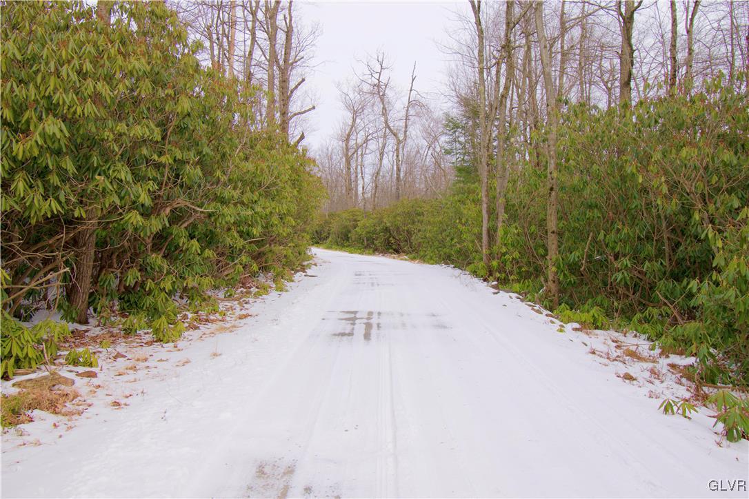 Lot A44 Rhododendron Road Jim Thorpe, PA 18229 - Photo 11 of 11 Gallery Image 11