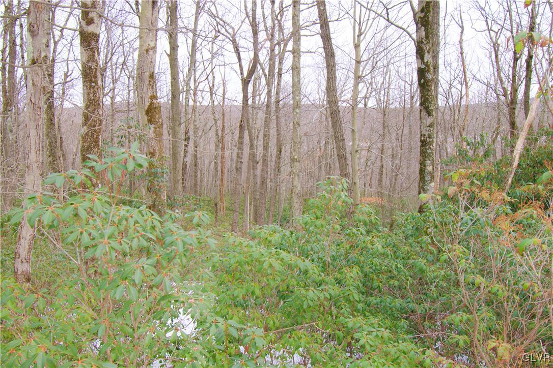 Lot A44 Rhododendron Road Jim Thorpe, PA 18229 - Photo 2 of 11 Gallery Image 2