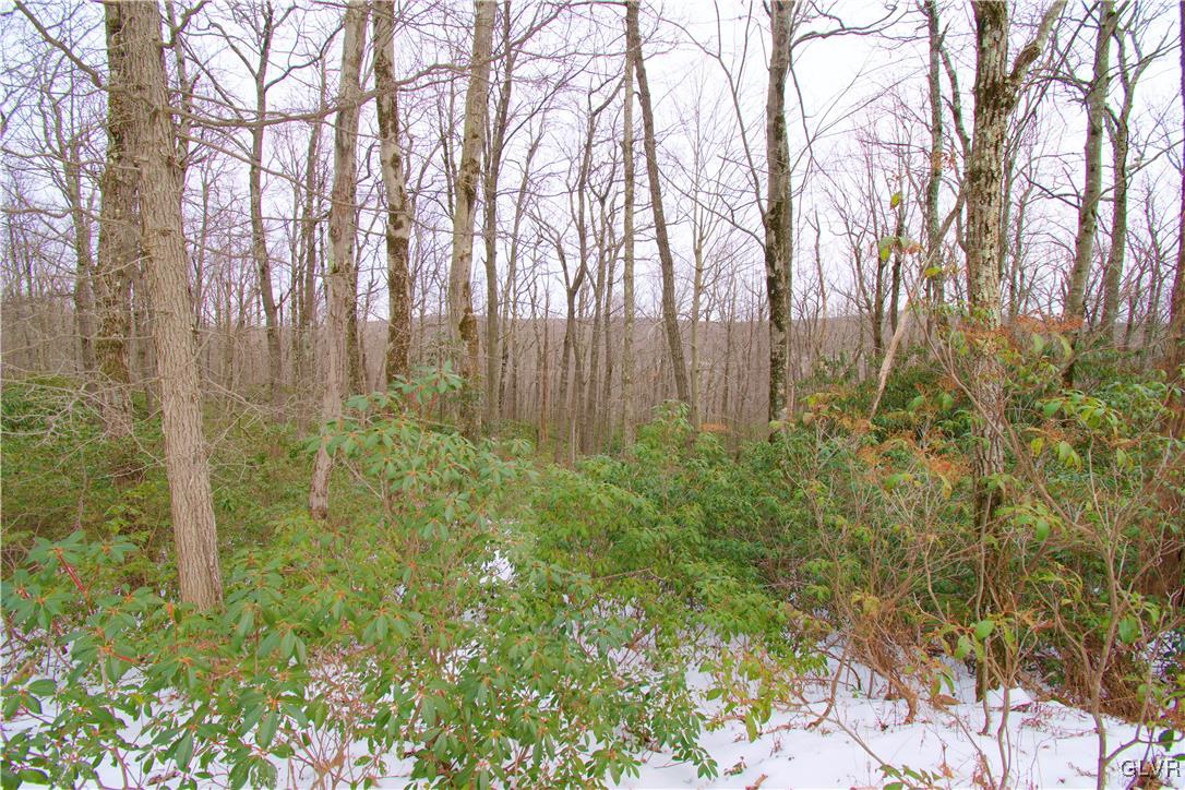 Lot A44 Rhododendron Road Jim Thorpe, PA 18229 - Photo 3 of 11 Gallery Image 3