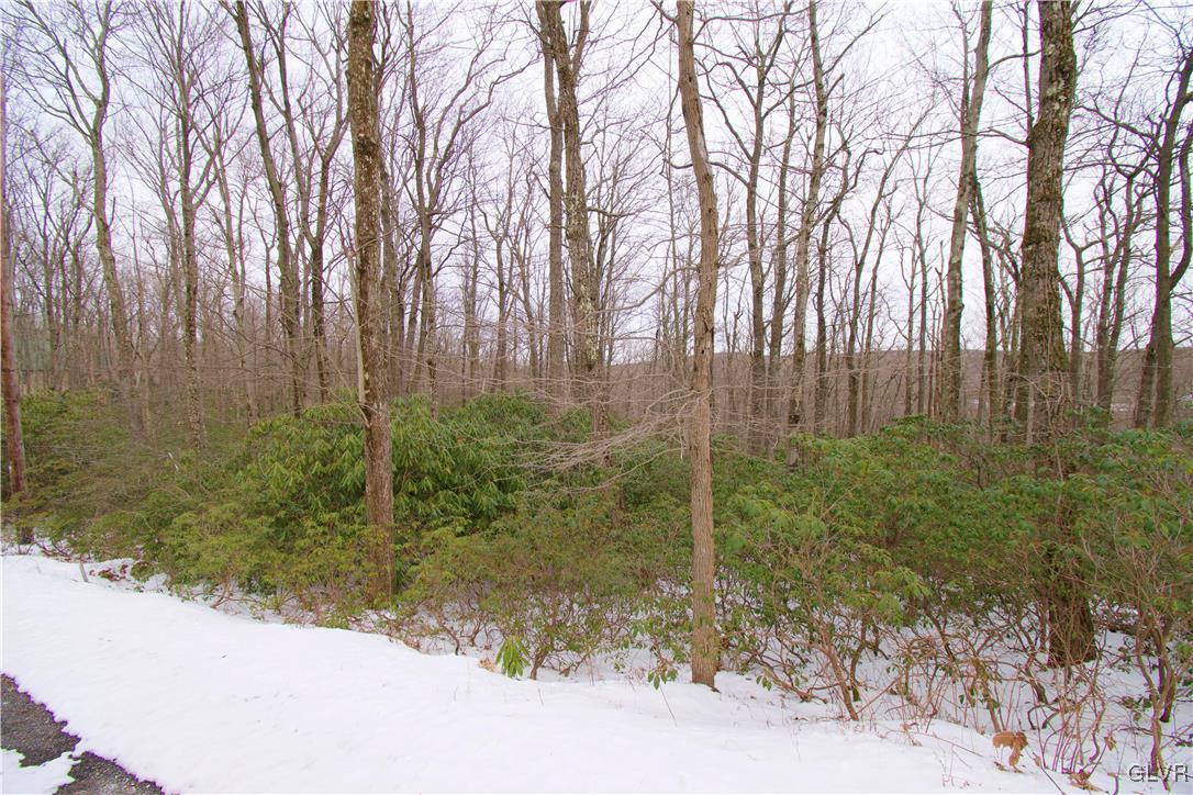 Lot A44 Rhododendron Road Jim Thorpe, PA 18229 - Photo 4 of 11 Gallery Image 4