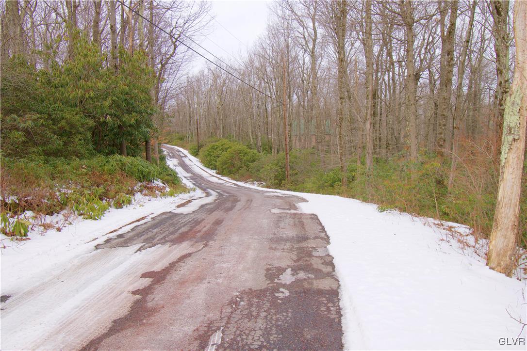 Lot A44 Rhododendron Road Jim Thorpe, PA 18229 - Photo 5 of 11 Gallery Image 5
