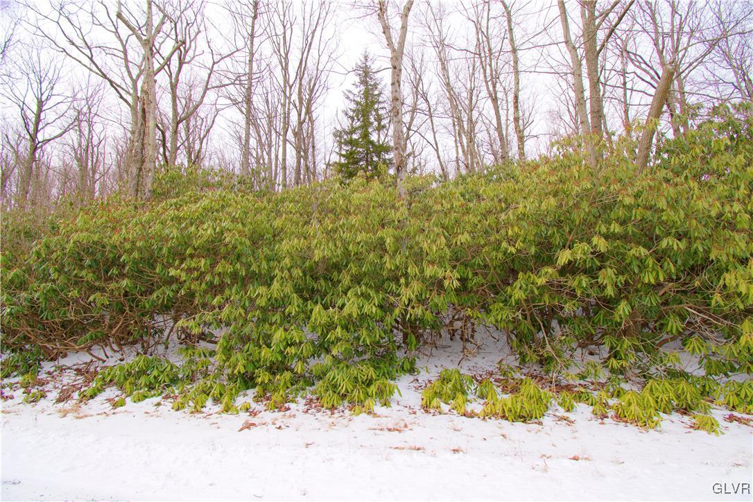 Lot A44 Rhododendron Road Jim Thorpe, PA 18229 - Photo 7 of 11 Gallery Image 7