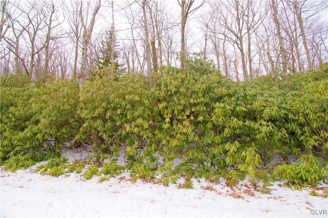 Lot A44 Rhododendron Road Jim Thorpe, PA 18229 - Photo 8 of 11 Gallery Image 8