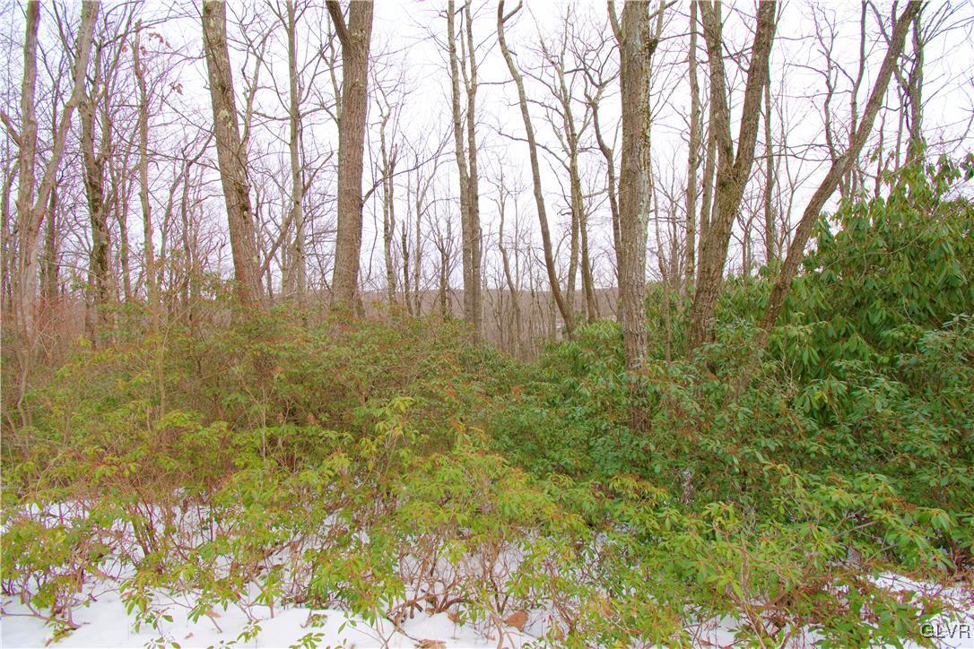 Lot A44 Rhododendron Road Jim Thorpe, PA 18229 - Photo 9 of 11 Gallery Image 9