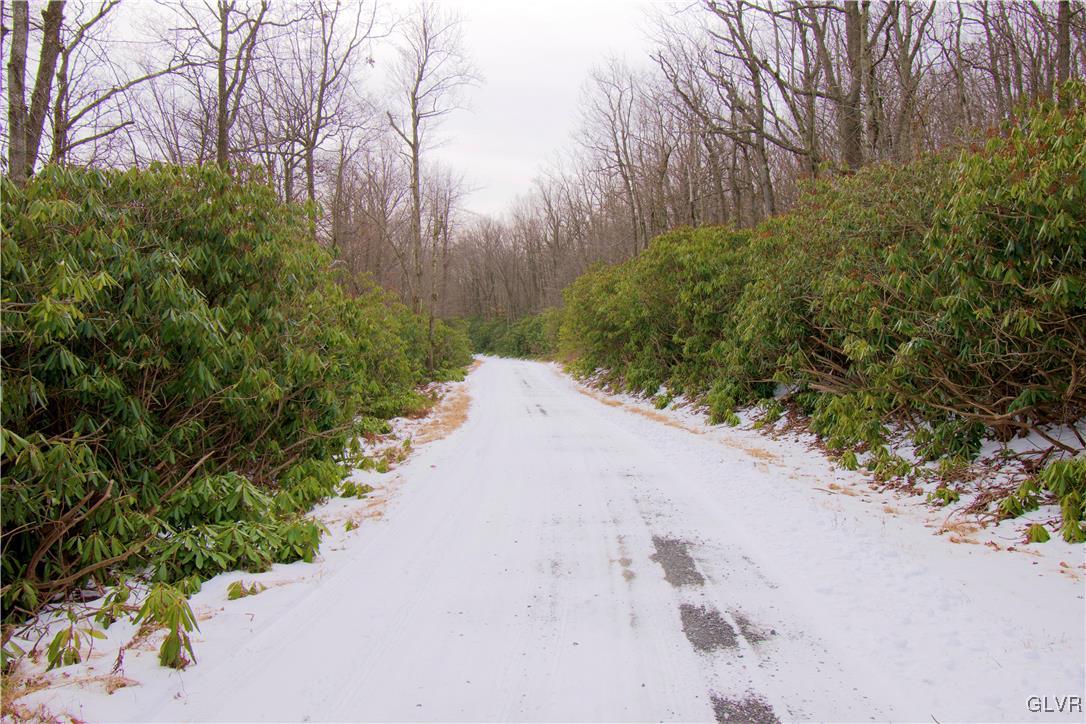 Lot A44 Rhododendron Road Jim Thorpe, PA 18229 - Photo 10 of 11 Gallery Image 10