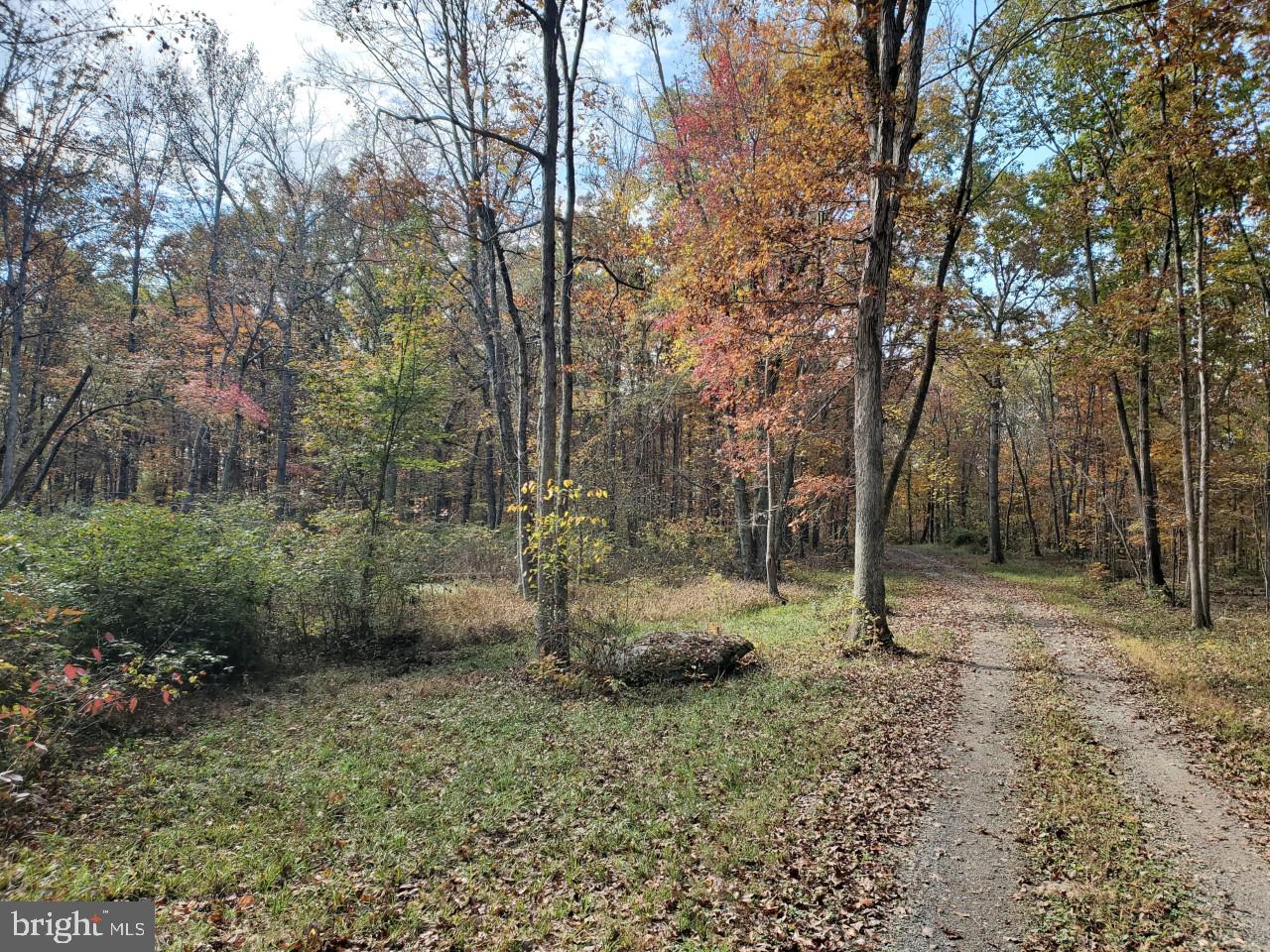 Parcel B Leeds Manor Road Warrenton, VA 20186 - Photo 4 of 9 driveway /shared with another home