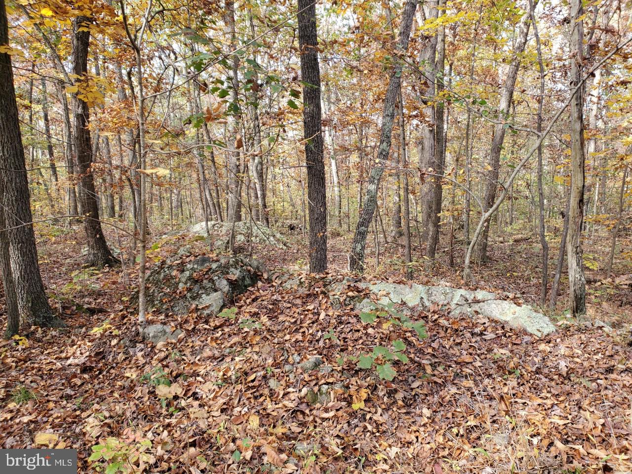 Parcel B Leeds Manor Road Warrenton, VA 20186 - Photo 6 of 9 private wooded lot