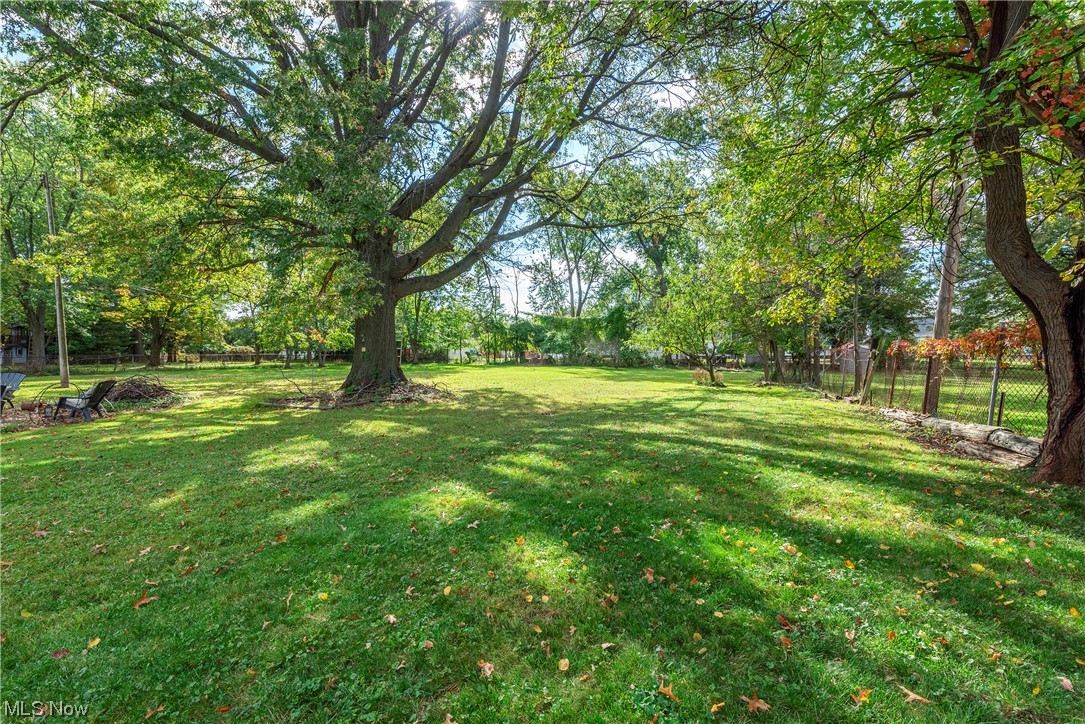 4709 Snow Road Cleveland, OH 44134 - Photo 28 of 35 View of yard