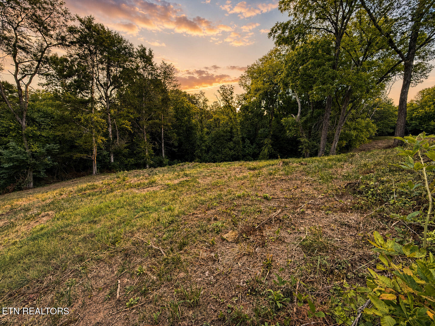 1869 East Old Topside Road Louisville, TN 37777 - Photo 13 of 39 O