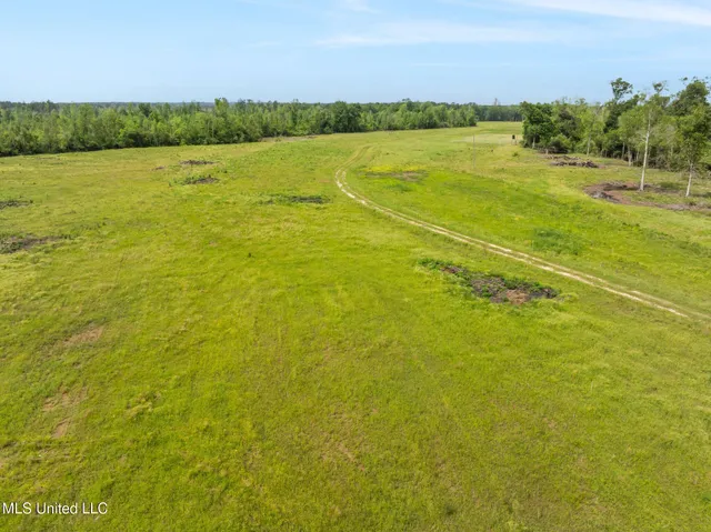 $285,740 | 81.64 William Warren Road, Collins, MS 39428