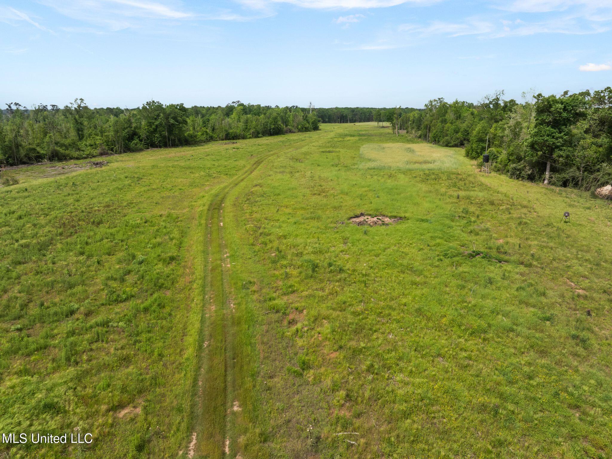 81.64 William Warren Road Collins, MS 39428 - Photo 16 of 35 00_WIlliam_Warren_Rd-21