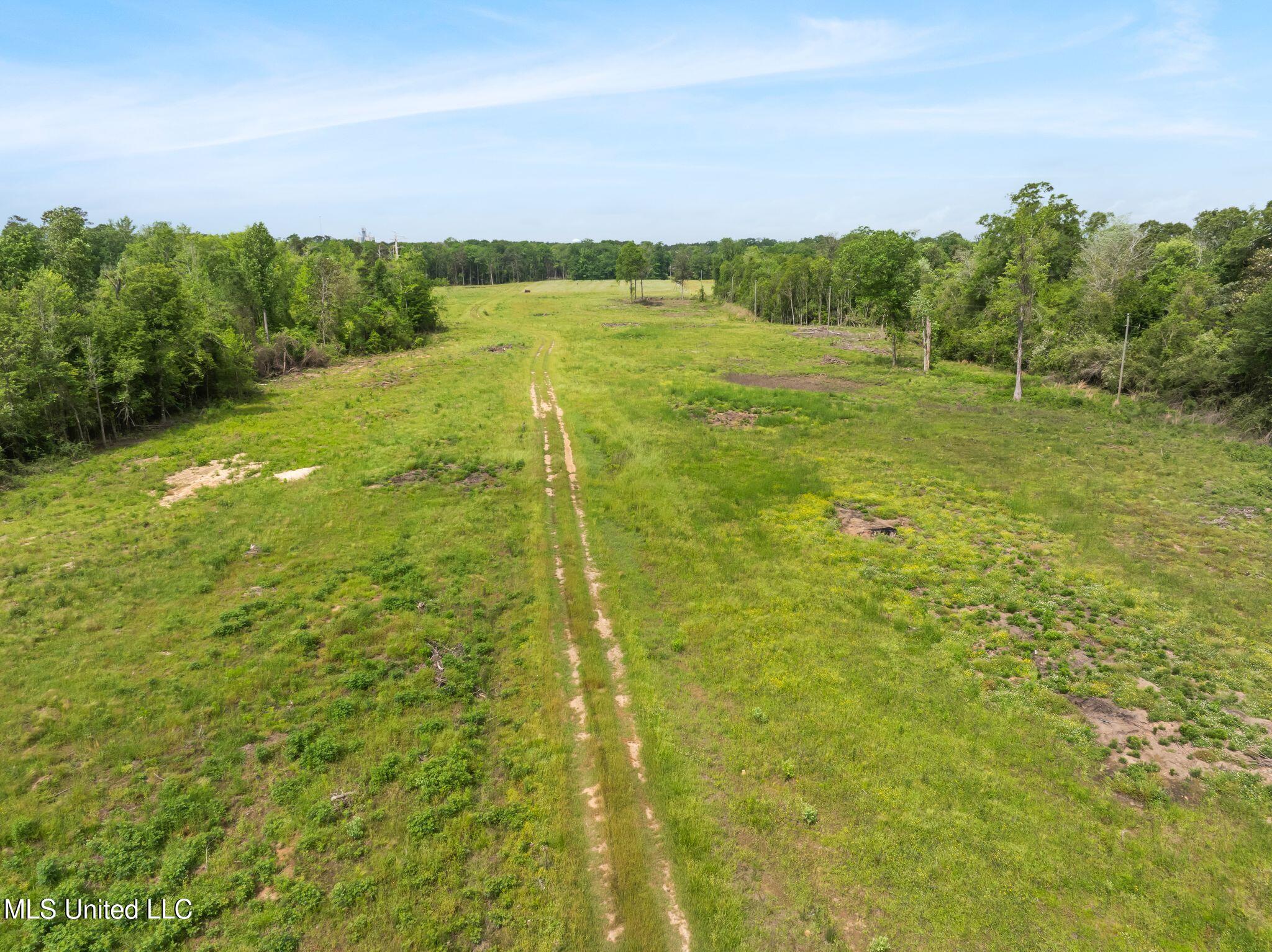 81.64 William Warren Road Collins, MS 39428 - Photo 17 of 35 00_WIlliam_Warren_Rd-22