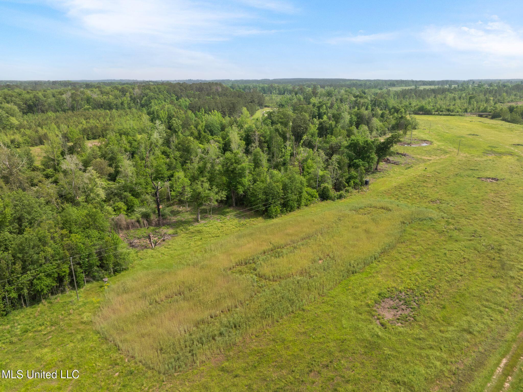 81.64 William Warren Road Collins, MS 39428 - Photo 20 of 35 00_WIlliam_Warren_Rd-25