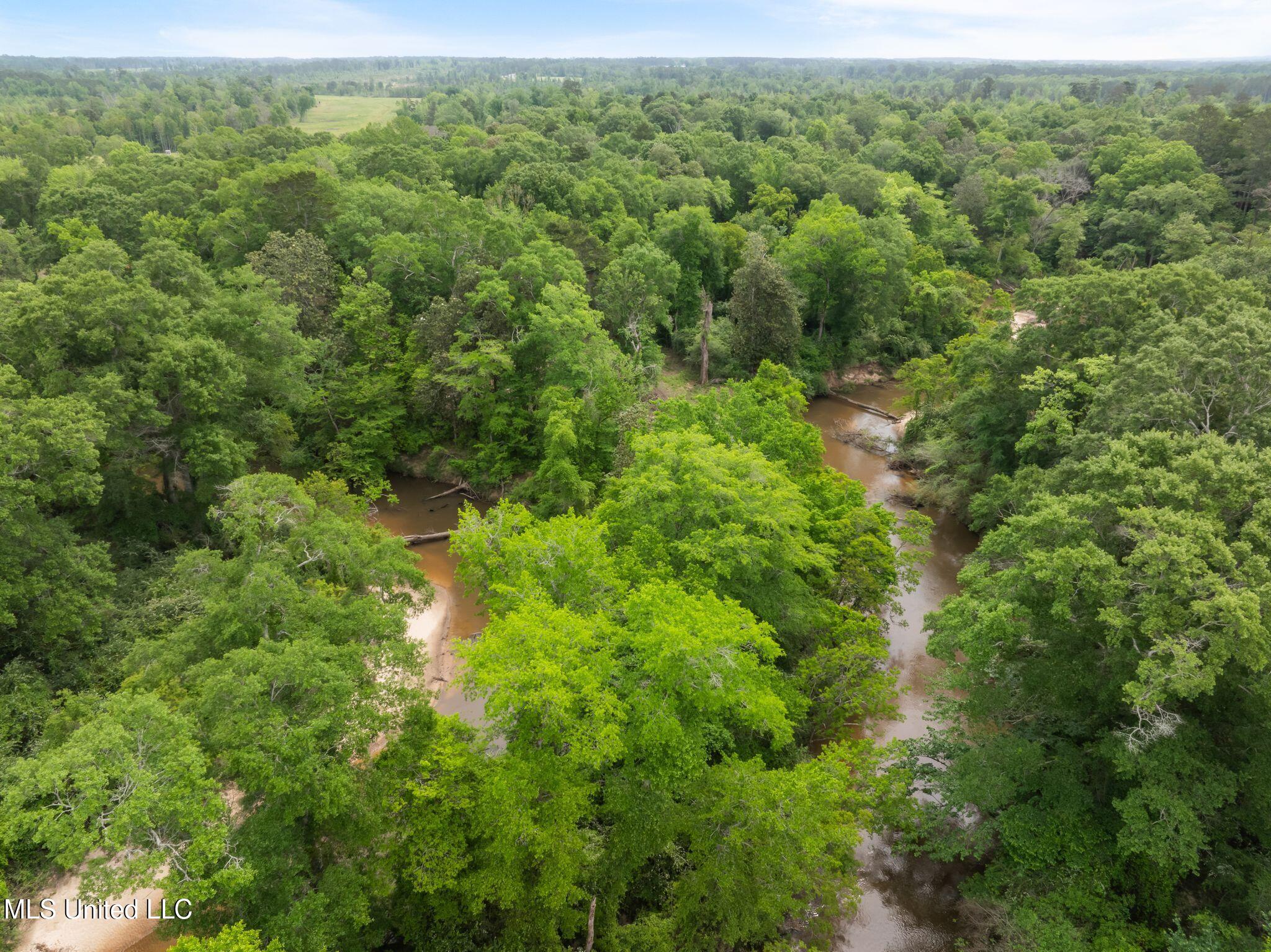 81.64 William Warren Road Collins, MS 39428 - Photo 22 of 35 00_WIlliam_Warren_Rd-27