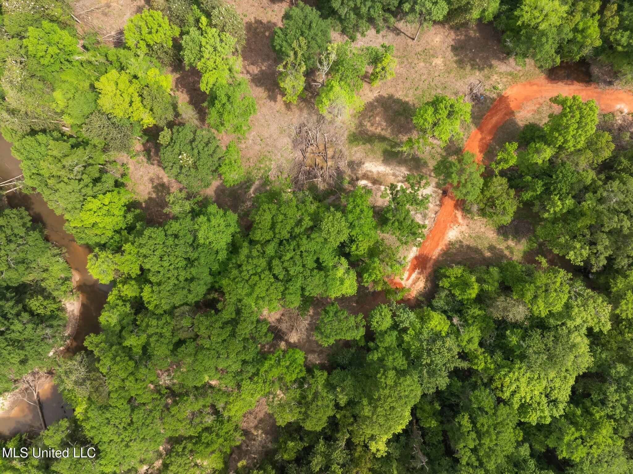 81.64 William Warren Road Collins, MS 39428 - Photo 27 of 35 00_WIlliam_Warren_Rd-32