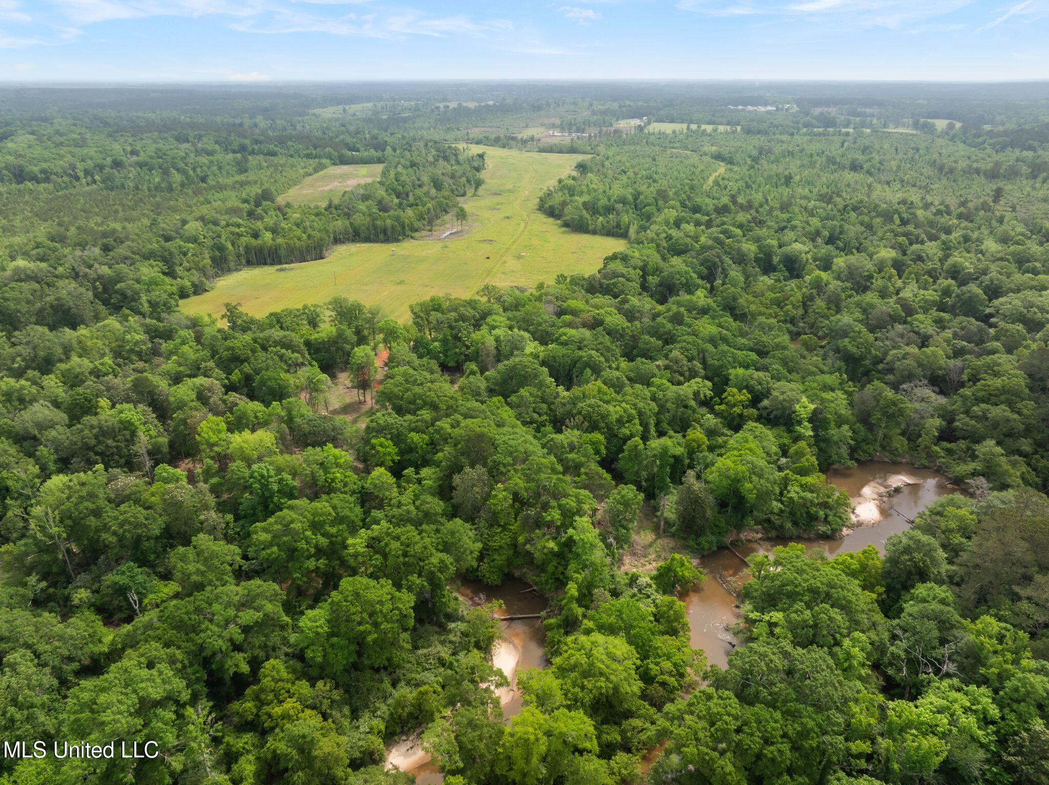 81.64 William Warren Road Collins, MS 39428 - Photo 31 of 35 00_WIlliam_Warren_Rd-36
