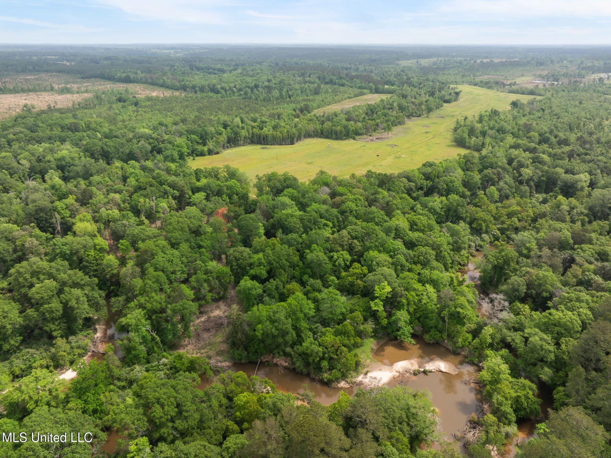 81.64 William Warren Road Collins, MS 39428 - Photo 32 of 35 00_WIlliam_Warren_Rd-37