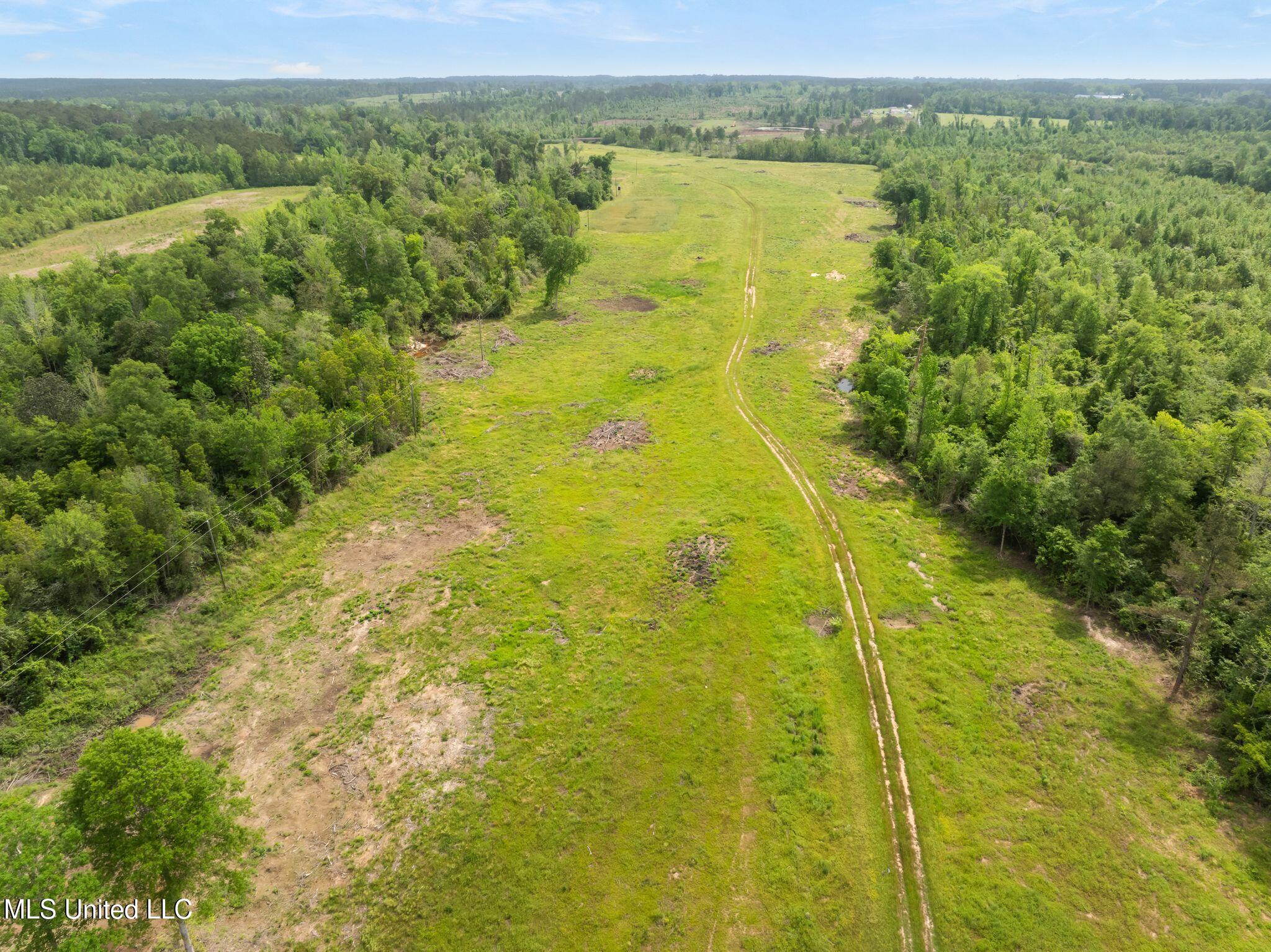 81.64 William Warren Road Collins, MS 39428 - Photo 35 of 35 00_WIlliam_Warren_Rd-40