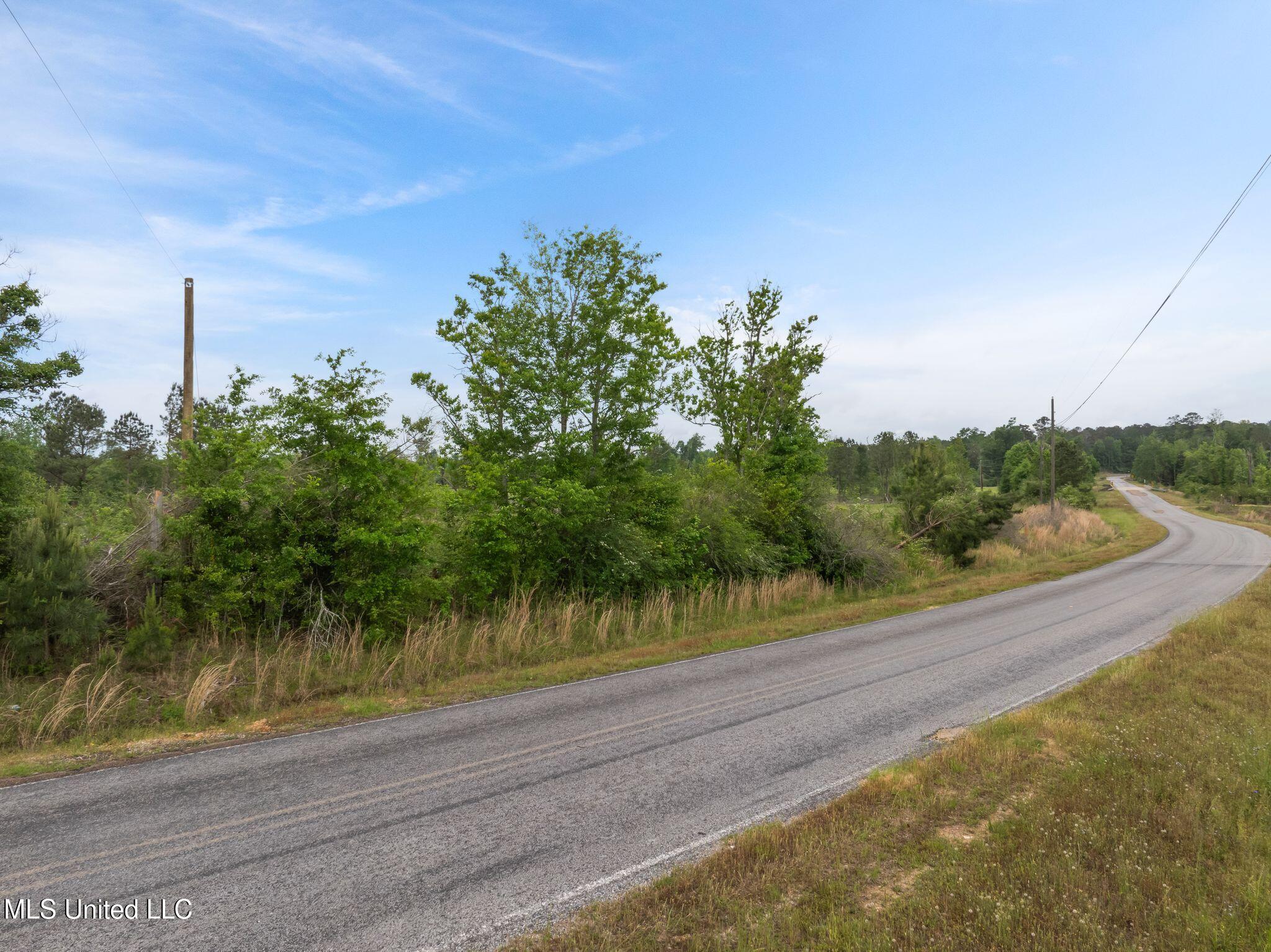 81.64 William Warren Road Collins, MS 39428 - Photo 5 of 35 00_WIlliam_Warren_Rd-9