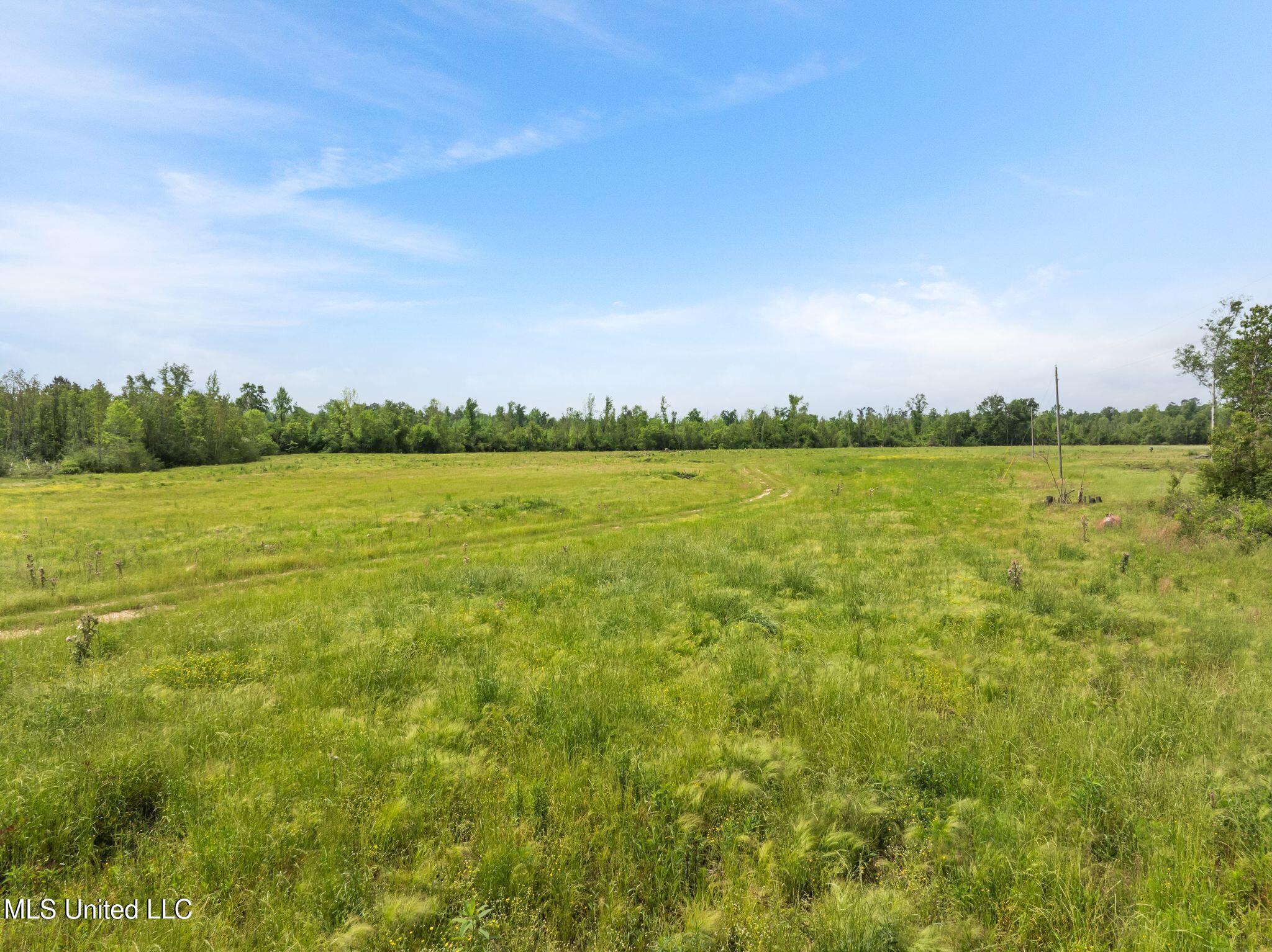 81.64 William Warren Road Collins, MS 39428 - Photo 8 of 35 00_WIlliam_Warren_Rd-12