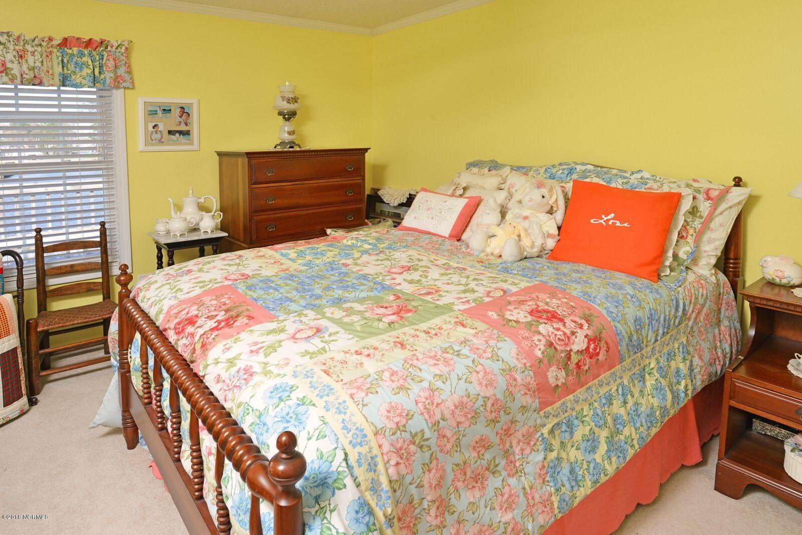 3003 Whichards Beach Road Chocowinity, NC 27817 - Photo 33 of 53 mills30