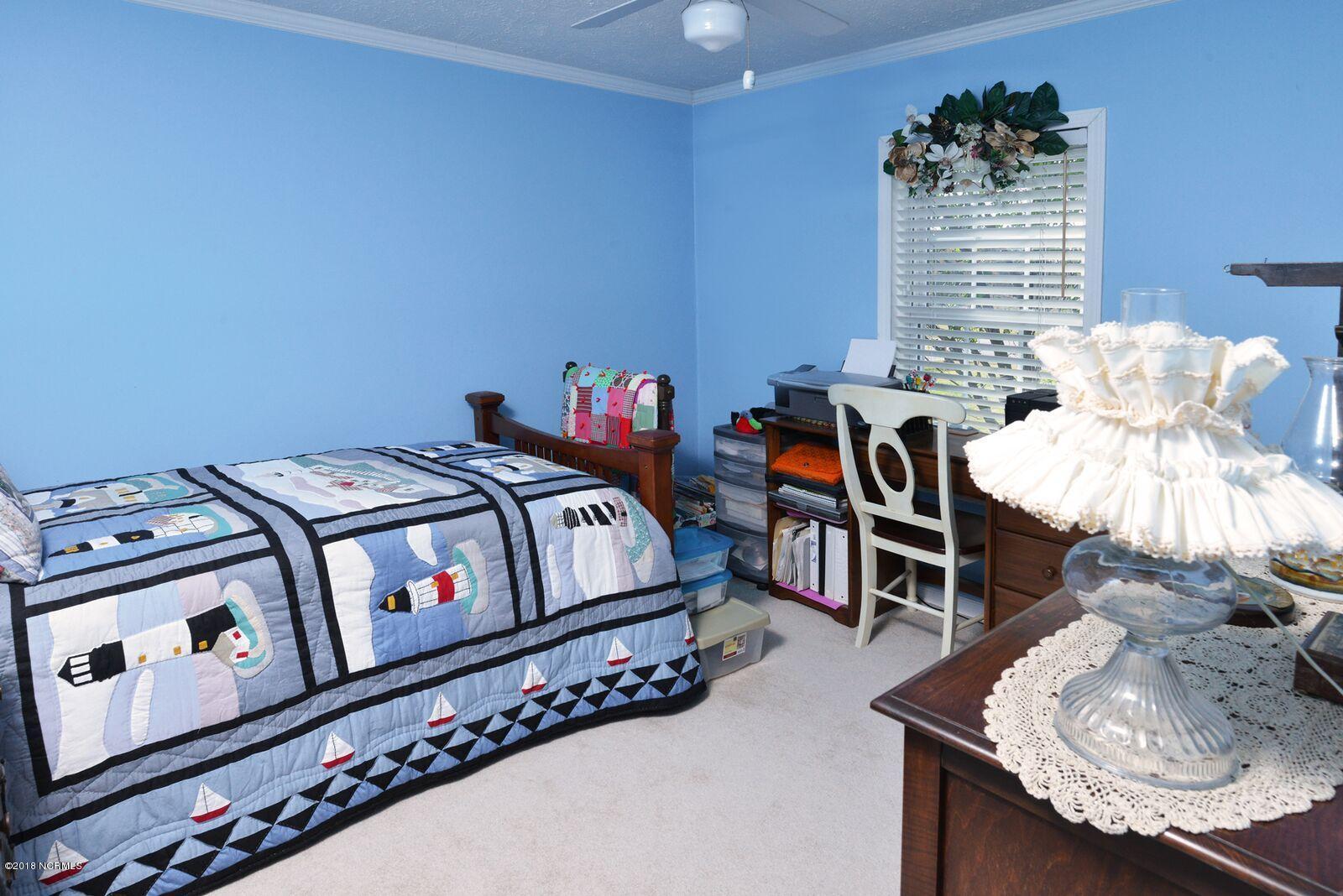 3003 Whichards Beach Road Chocowinity, NC 27817 - Photo 34 of 53 mills31
