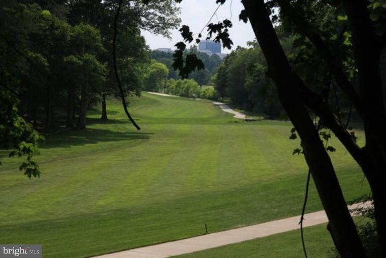 1704 Putter Lane Reston, VA 20190 - Photo 24 of 26 Golf Course View