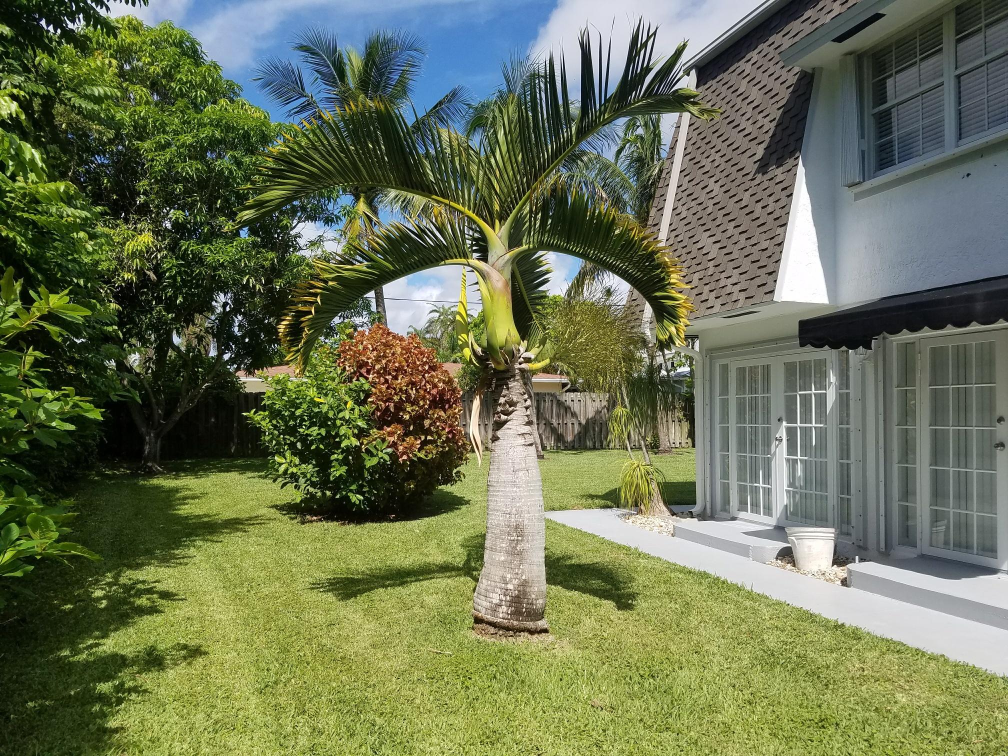 181 Northeast Wavecrest Way Boca Raton, FL 33432 - Photo 2 of 31 20170822_105823_resized