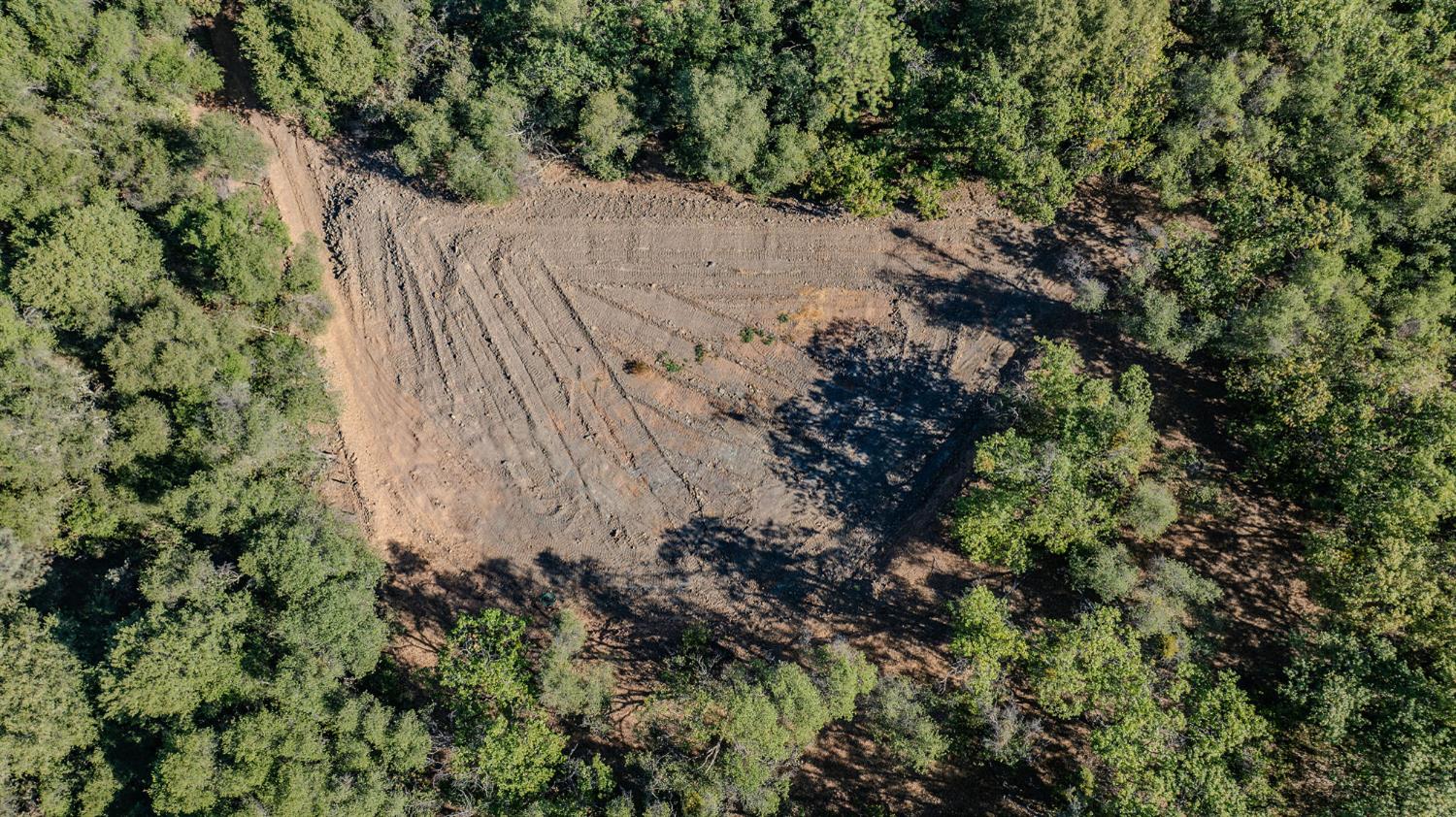 16300 Rossbridge Road Jackson, CA 95642 - Photo 14 of 40 a view of a plant in a garden