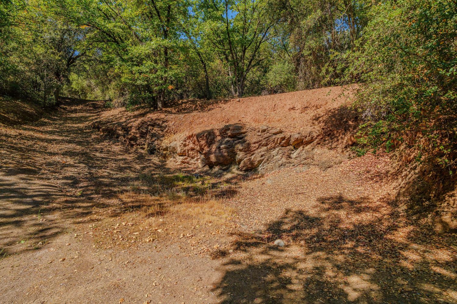 16300 Rossbridge Road Jackson, CA 95642 - Photo 15 of 40 a view of a yard with a tree