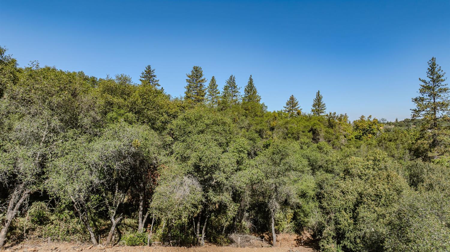 16300 Rossbridge Road Jackson, CA 95642 - Photo 25 of 40 a view of a city