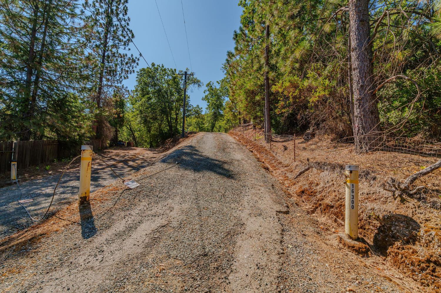 16300 Rossbridge Road Jackson, CA 95642 - Photo 4 of 40 a view of a yard with a tree