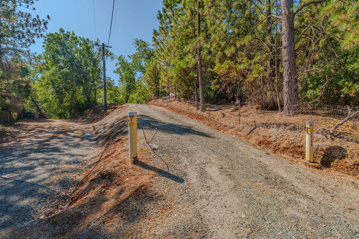 16300 Rossbridge Road Jackson, CA 95642 - Photo 7 of 40 a backyard of a house with large trees and park view