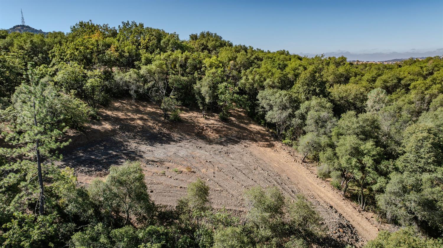 16300 Rossbridge Road Jackson, CA 95642 - Photo 8 of 40 a view of a forest with a tree