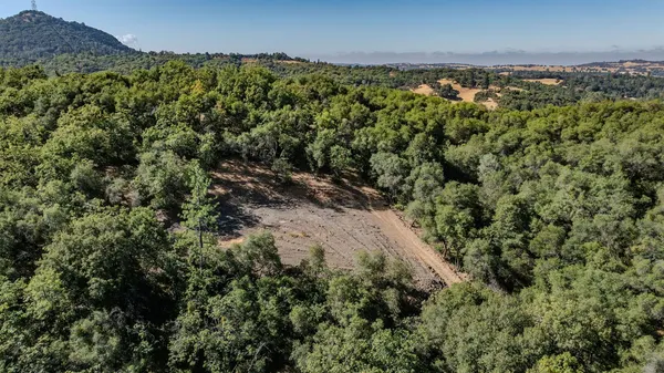 a view of a field with a forest