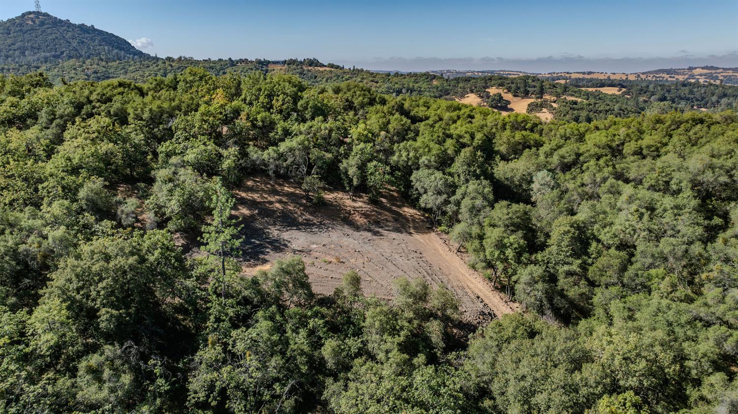 16300 Rossbridge Road Jackson, CA 95642 - Photo 9 of 40 a view of a field with a forest