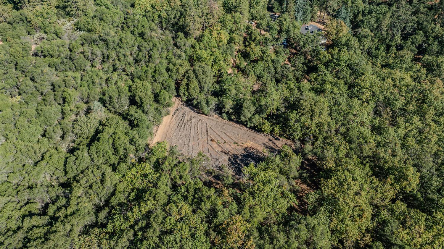 16300 Rossbridge Road Jackson, CA 95642 - Photo 10 of 40 an aerial view of a house with a yard and covered by trees