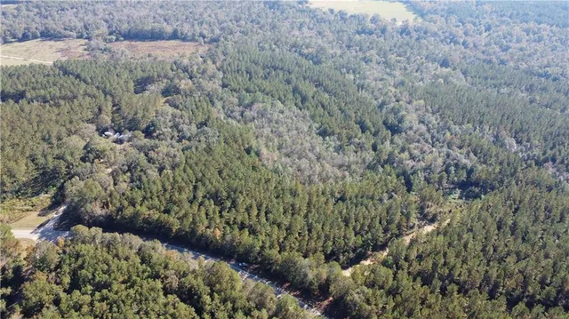 $485,706 | 436 Hwy Angie La, Angie, LA 70426