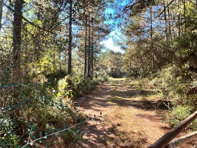 $485,706 | 436 Hwy Angie La, Angie, LA 70426