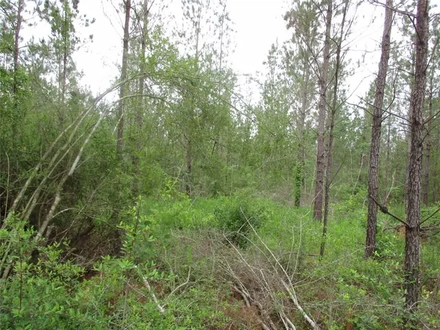 $485,706 | 436 Hwy Angie La, Angie, LA 70426