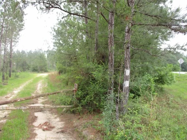 $485,706 | 436 Hwy Angie La, Angie, LA 70426